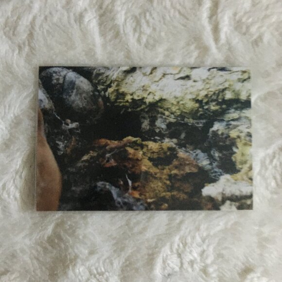 Four Canadian Winter Original Photographs Icy River, Mossy Bark, Still Water - Picture 3 of 7